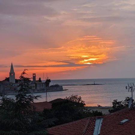 Studio D Poreč Exteriör bild