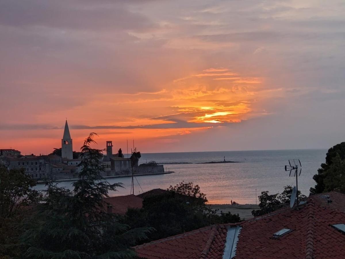 Studio D Poreč Exteriör bild